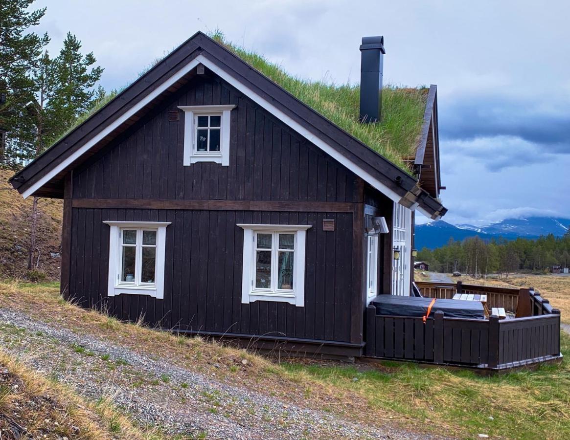 Lemonsjoen-Jotunheimen-Besseggen Βίλα Stuttgongfossen Εξωτερικό φωτογραφία