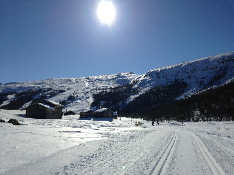 Lemonsjoen-Jotunheimen-Besseggen Βίλα Stuttgongfossen Εξωτερικό φωτογραφία