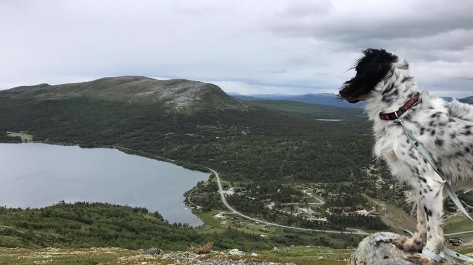 Lemonsjoen-Jotunheimen-Besseggen Βίλα Stuttgongfossen Εξωτερικό φωτογραφία
